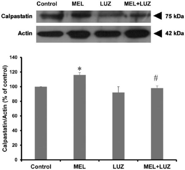 https://cdn.ncbi.nlm.nih.gov/pmc/blobs/d3d2/5562346/67e23ea06196/10.1177_1179069517719237-fig5.jpg