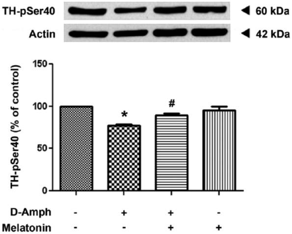 https://cdn.ncbi.nlm.nih.gov/pmc/blobs/d3d2/5562346/68b7bda8b586/10.1177_1179069517719237-fig1.jpg