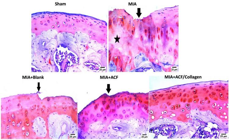 https://cdn.ncbi.nlm.nih.gov/pmc/blobs/d3d3/11445320/01305b55dd11/13346_2024_1548_Fig11_HTML.jpg