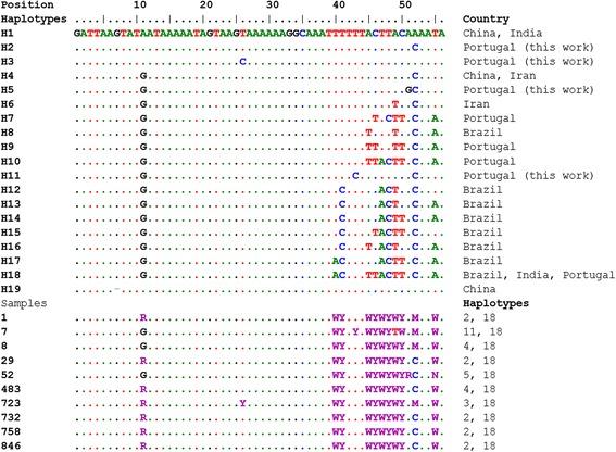 https://cdn.ncbi.nlm.nih.gov/pmc/blobs/d3d4/5438543/c87c26d78938/13071_2017_2180_Fig2_HTML.jpg