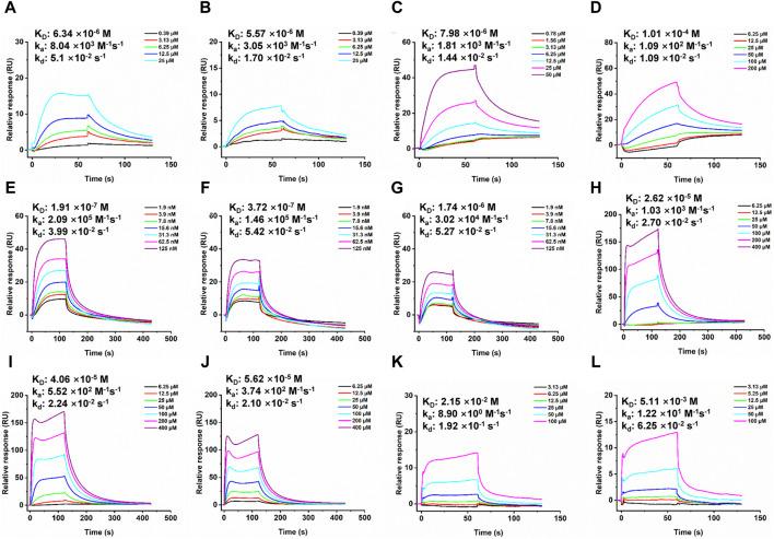 https://cdn.ncbi.nlm.nih.gov/pmc/blobs/d3d5/11094307/a4bd6c2316c5/fphar-15-1396605-g004.jpg