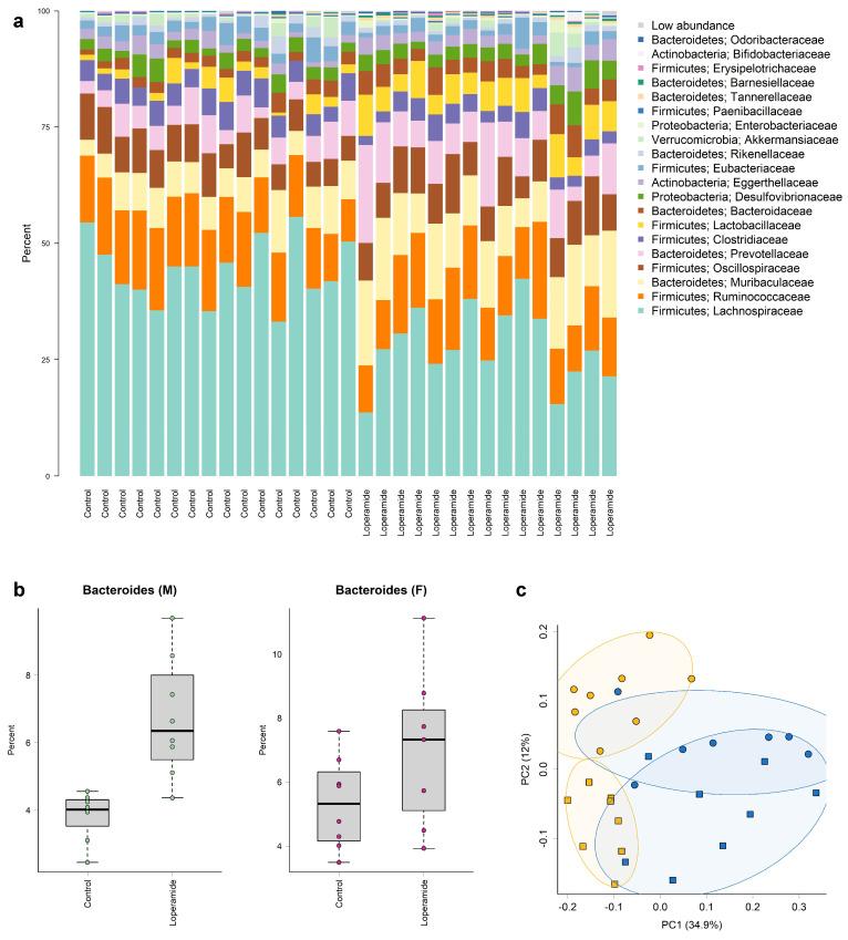 https://cdn.ncbi.nlm.nih.gov/pmc/blobs/d3d5/11642130/9d7f02b60165/ijms-25-13183-g006.jpg