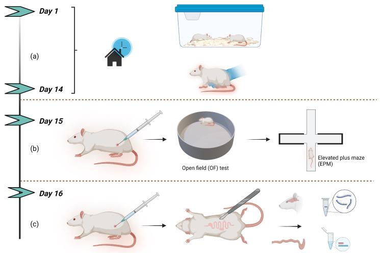 https://cdn.ncbi.nlm.nih.gov/pmc/blobs/d3d5/11642130/c45222c2391b/ijms-25-13183-g001.jpg