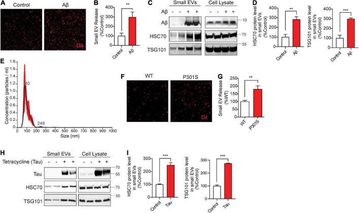 https://cdn.ncbi.nlm.nih.gov/pmc/blobs/d3d6/9452914/4ed84d1e73bc/fnagi-14-933979-g005.jpg