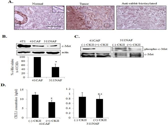 https://cdn.ncbi.nlm.nih.gov/pmc/blobs/d3d8/4529193/3a0e85a01d1b/pone.0135063.g006.jpg