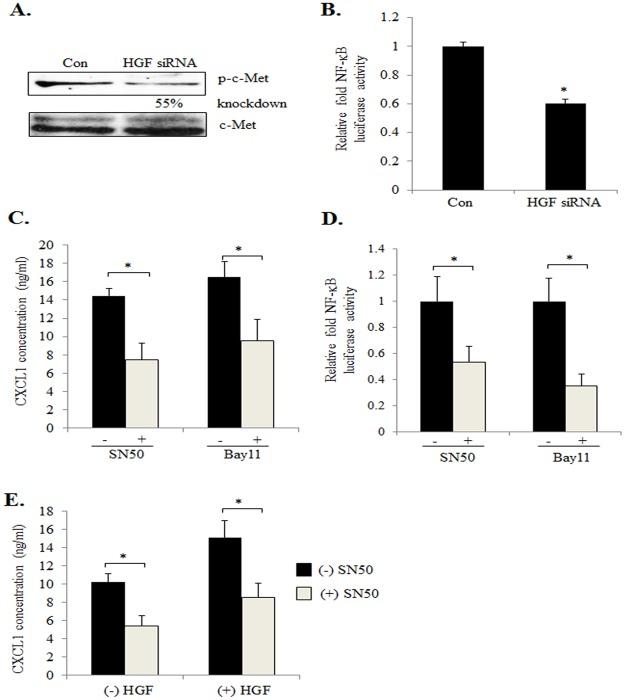 https://cdn.ncbi.nlm.nih.gov/pmc/blobs/d3d8/4529193/5161a65ff8e3/pone.0135063.g007.jpg