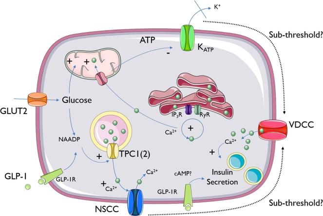 https://cdn.ncbi.nlm.nih.gov/pmc/blobs/d3d8/4751975/78e5d2600f25/fx1.jpg