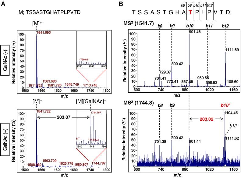 https://cdn.ncbi.nlm.nih.gov/pmc/blobs/d3d8/4887616/e7a92f4feccb/gr2.jpg