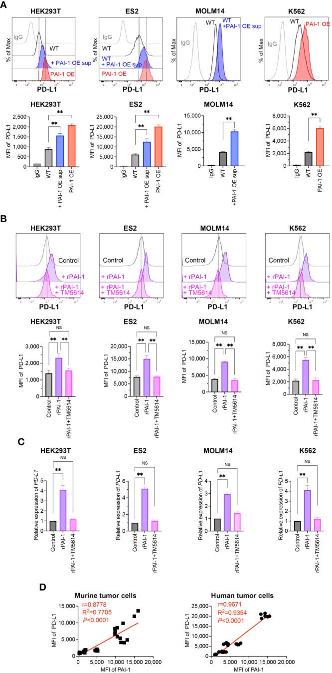 https://cdn.ncbi.nlm.nih.gov/pmc/blobs/d3da/11109370/fc6f68fc2684/fimmu-15-1365894-g002.jpg
