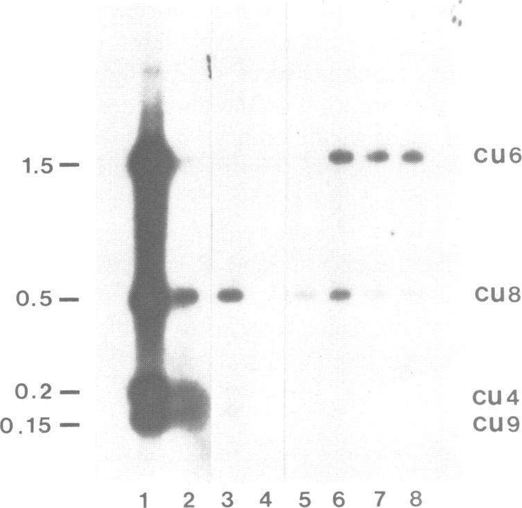 https://cdn.ncbi.nlm.nih.gov/pmc/blobs/d3da/556872/3ed2e814ce34/emboj00094-0224-a.jpg