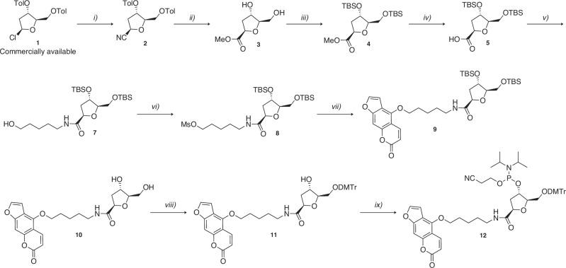 https://cdn.ncbi.nlm.nih.gov/pmc/blobs/d3db/11754458/412c27c42d5a/42004_2025_1416_Sch1_HTML.jpg