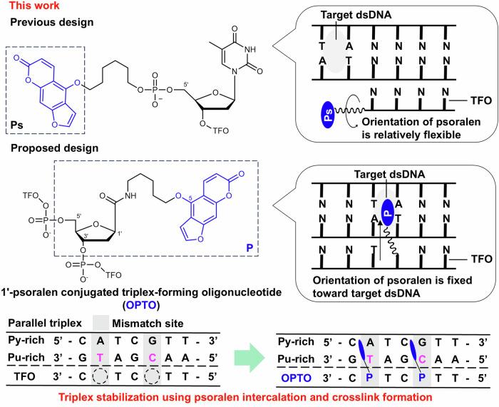 https://cdn.ncbi.nlm.nih.gov/pmc/blobs/d3db/11754458/e5029c98b168/42004_2025_1416_Fig2_HTML.jpg