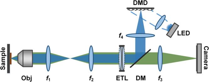 https://cdn.ncbi.nlm.nih.gov/pmc/blobs/d3de/5962542/9b5e0aa0fad6/41598_2018_26240_Fig1_HTML.jpg