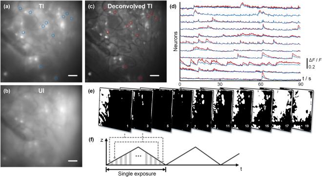 https://cdn.ncbi.nlm.nih.gov/pmc/blobs/d3de/5962542/affc8c951ff6/41598_2018_26240_Fig6_HTML.jpg