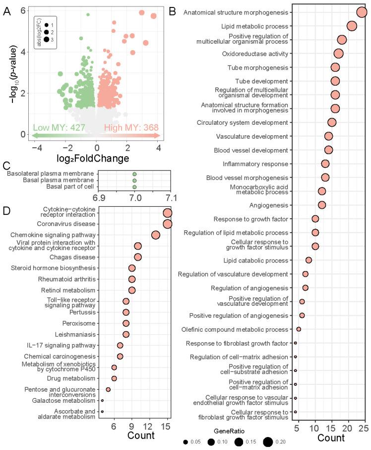 https://cdn.ncbi.nlm.nih.gov/pmc/blobs/d3df/11431119/1b22e0e546ed/genes-15-01229-g003.jpg