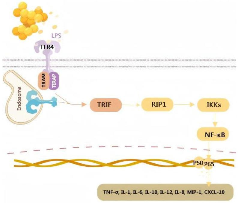 https://cdn.ncbi.nlm.nih.gov/pmc/blobs/d3df/12190058/898e7351be22/antibiotics-14-00609-g001.jpg