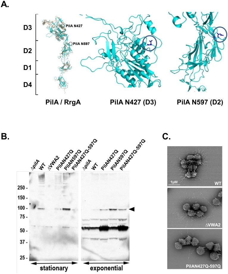 https://cdn.ncbi.nlm.nih.gov/pmc/blobs/d3e1/4583379/db5870f29c07/pone.0138103.g004.jpg