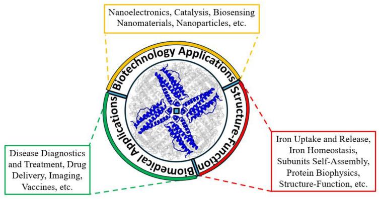 https://cdn.ncbi.nlm.nih.gov/pmc/blobs/d3e2/11719527/cdcd3662cab7/ijms-26-00206-g005.jpg
