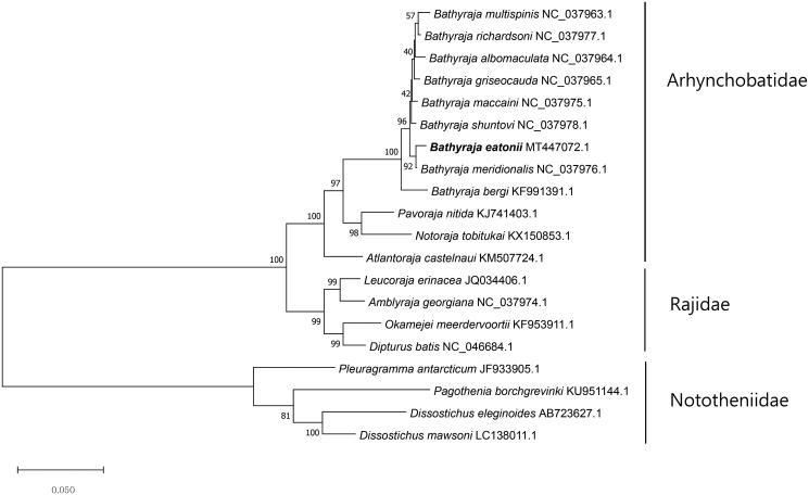 https://cdn.ncbi.nlm.nih.gov/pmc/blobs/d3e2/7819128/e56c0c524762/TMDN_A_1847608_F0001_B.jpg