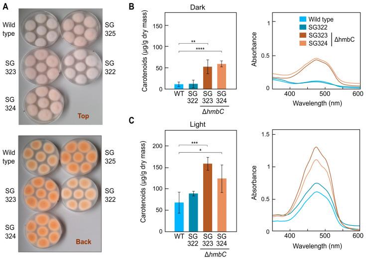 https://cdn.ncbi.nlm.nih.gov/pmc/blobs/d3e3/10454146/149eeec86738/genes-14-01661-g002.jpg