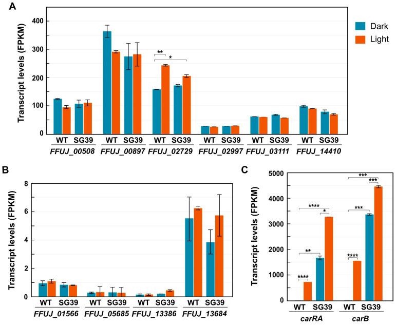 https://cdn.ncbi.nlm.nih.gov/pmc/blobs/d3e3/10454146/b3cc76b5822e/genes-14-01661-g001.jpg