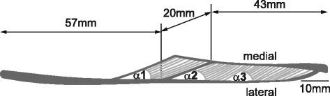 https://cdn.ncbi.nlm.nih.gov/pmc/blobs/d3e3/5603017/07bbceef458b/12984_2017_310_Fig9_HTML.jpg