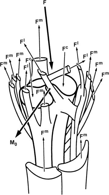 https://cdn.ncbi.nlm.nih.gov/pmc/blobs/d3e3/5603017/63a738ff86b6/12984_2017_310_Fig12_HTML.jpg