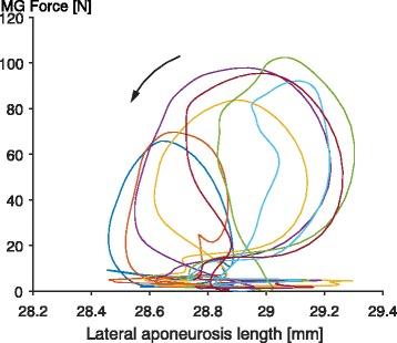 https://cdn.ncbi.nlm.nih.gov/pmc/blobs/d3e3/5603017/a51ddb4af732/12984_2017_310_Fig11_HTML.jpg