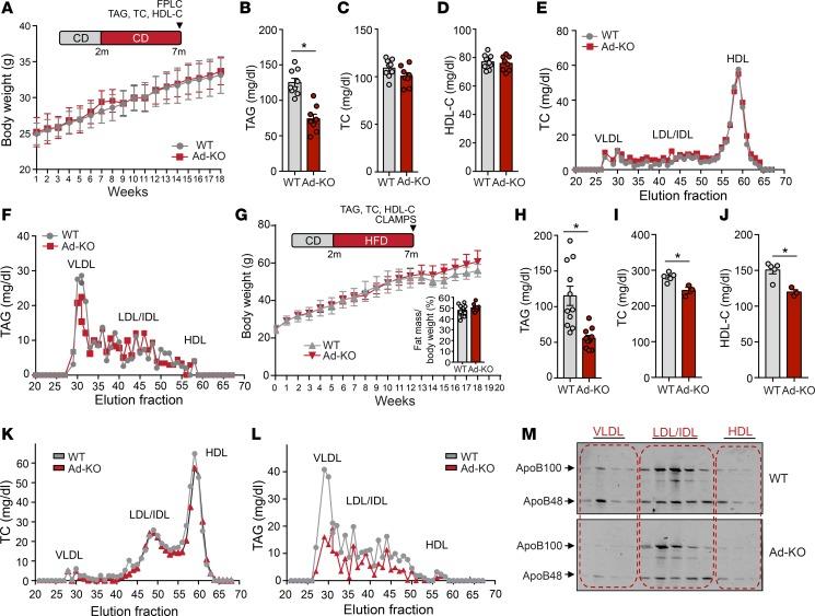 https://cdn.ncbi.nlm.nih.gov/pmc/blobs/d3e3/5926923/5950d2effd13/jciinsight-3-97918-g003.jpg