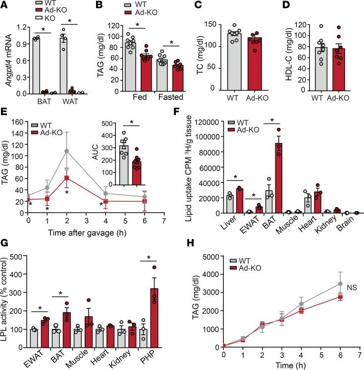https://cdn.ncbi.nlm.nih.gov/pmc/blobs/d3e3/5926923/62eb49217d7d/jciinsight-3-97918-g002.jpg