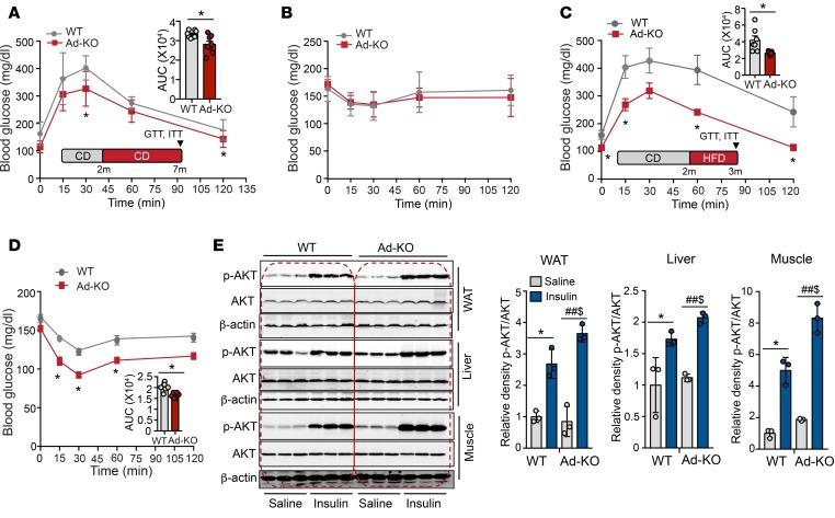 https://cdn.ncbi.nlm.nih.gov/pmc/blobs/d3e3/5926923/63c6e920ad3d/jciinsight-3-97918-g005.jpg