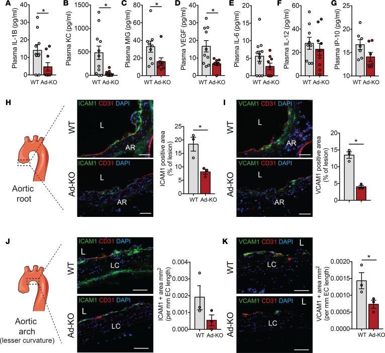 https://cdn.ncbi.nlm.nih.gov/pmc/blobs/d3e3/5926923/c9c067017565/jciinsight-3-97918-g008.jpg