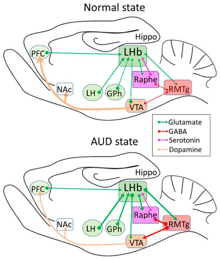 https://cdn.ncbi.nlm.nih.gov/pmc/blobs/d3e4/7663385/7cb2680f5613/ijms-21-08123-g001.jpg