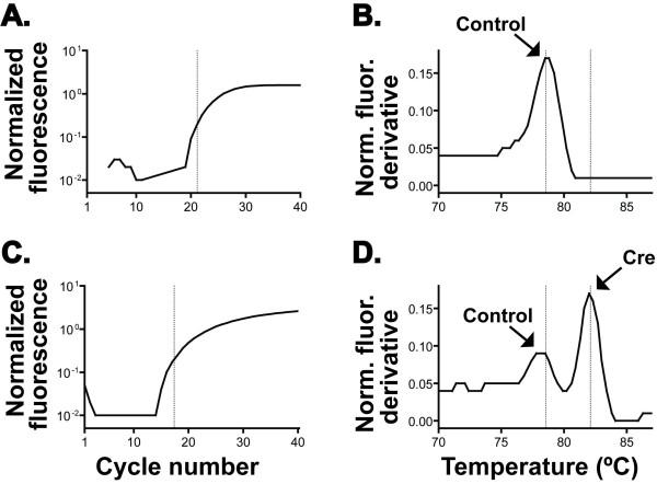 https://cdn.ncbi.nlm.nih.gov/pmc/blobs/d3e8/2966455/8e4483c0ea46/1423-0127-17-82-1.jpg