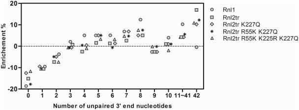 https://cdn.ncbi.nlm.nih.gov/pmc/blobs/d3eb/3326334/45e99d8dc407/gkr1263f4.jpg