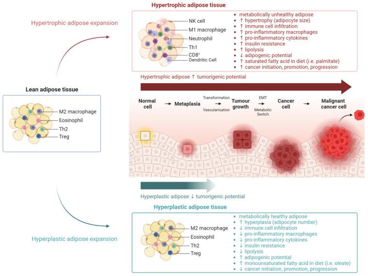 https://cdn.ncbi.nlm.nih.gov/pmc/blobs/d3ec/10821017/1263ff5db79c/metabolites-14-00042-g003.jpg