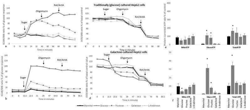 https://cdn.ncbi.nlm.nih.gov/pmc/blobs/d3ed/10096767/66928d389fda/nutrients-15-01593-g007.jpg