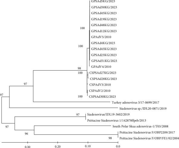 https://cdn.ncbi.nlm.nih.gov/pmc/blobs/d3ef/12017133/835fcec975ac/TBED2023-9743267.002.jpg