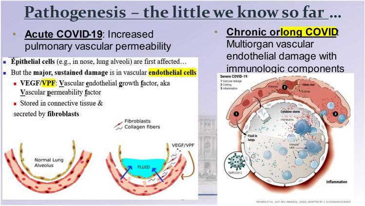 https://cdn.ncbi.nlm.nih.gov/pmc/blobs/d3f2/10039447/2debd17d1e1b/10787_2023_1194_Fig4_HTML.jpg