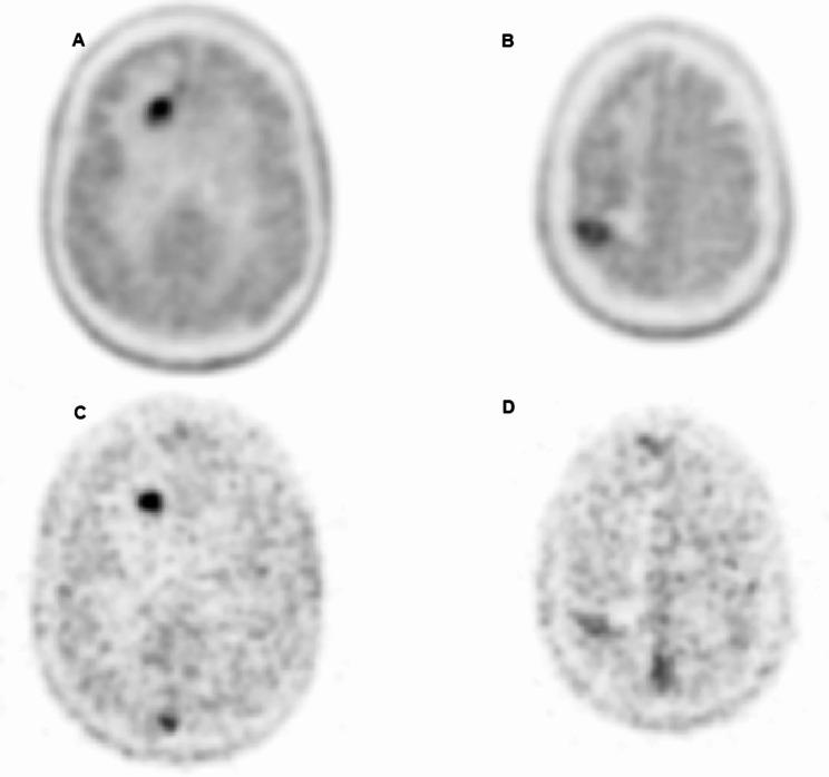 https://cdn.ncbi.nlm.nih.gov/pmc/blobs/d3f2/11465032/8a261544779b/13550_2024_1158_Fig4_HTML.jpg