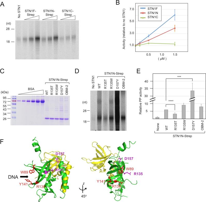 https://cdn.ncbi.nlm.nih.gov/pmc/blobs/d3f3/5766158/1566a5d9abb2/gkx621fig2.jpg