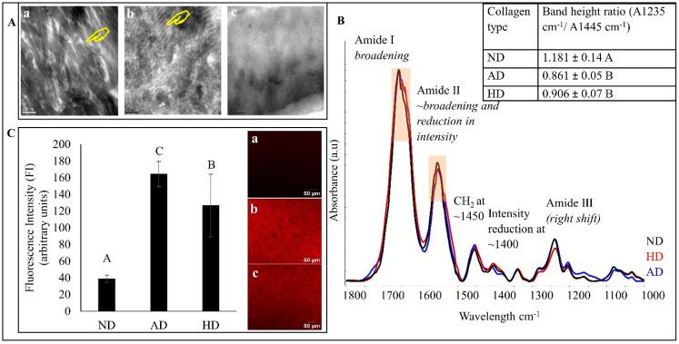 https://cdn.ncbi.nlm.nih.gov/pmc/blobs/d3f4/10537969/64dc1926f941/polymers-15-03683-g002.jpg