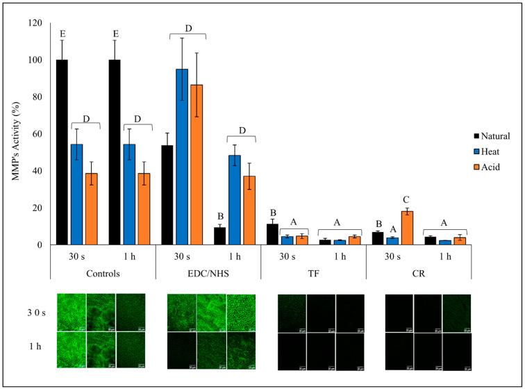 https://cdn.ncbi.nlm.nih.gov/pmc/blobs/d3f4/10537969/b46b589a8fb3/polymers-15-03683-g005.jpg