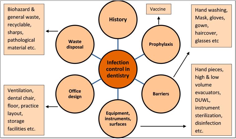 https://cdn.ncbi.nlm.nih.gov/pmc/blobs/d3f5/7640357/b2e46b28bd00/gr1.jpg