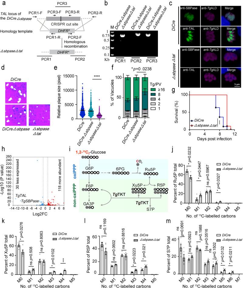 https://cdn.ncbi.nlm.nih.gov/pmc/blobs/d3f7/11001932/9e7c414eda84/41467_2024_47097_Fig2_HTML.jpg