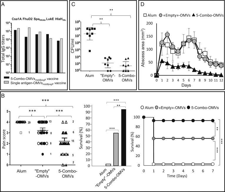 https://cdn.ncbi.nlm.nih.gov/pmc/blobs/d3f7/6815149/d3a4da63ec33/pnas.1905112116fig06.jpg