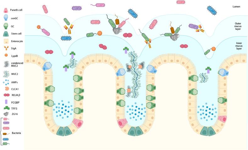 https://cdn.ncbi.nlm.nih.gov/pmc/blobs/d3f9/10167328/01df9642d194/12276_2023_960_Fig1_HTML.jpg