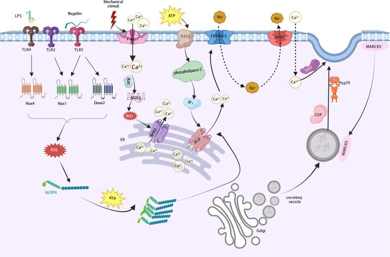 https://cdn.ncbi.nlm.nih.gov/pmc/blobs/d3f9/10167328/07bbc44054d6/12276_2023_960_Fig3_HTML.jpg