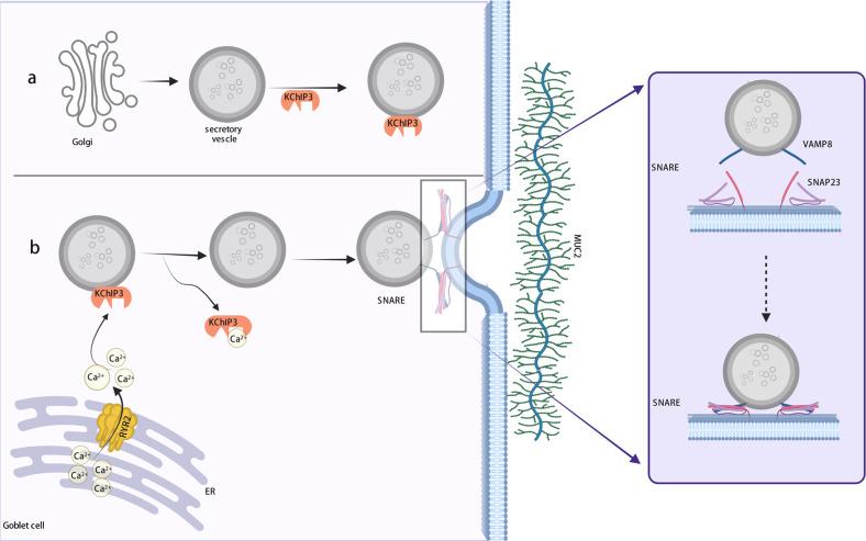 https://cdn.ncbi.nlm.nih.gov/pmc/blobs/d3f9/10167328/d004c983ccfa/12276_2023_960_Fig2_HTML.jpg