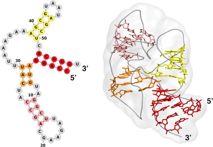 https://cdn.ncbi.nlm.nih.gov/pmc/blobs/d3f9/8373061/f6e0a8a23ca7/gkab459fig2.jpg